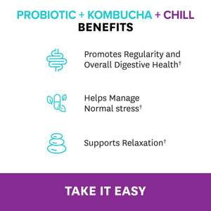 Probiotic + Kombucha + Chill