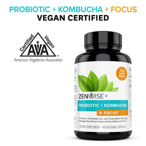 Probiotic + Kombucha + Focus