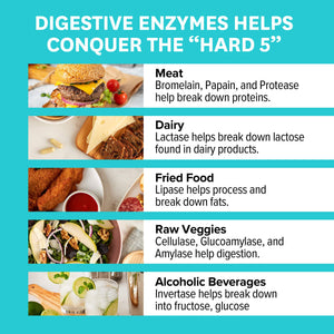 Digestive Enzymes