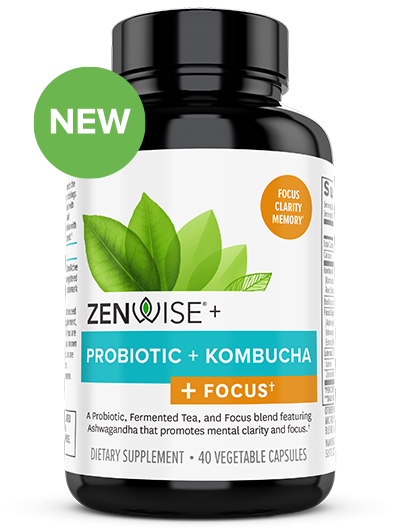 Probiotic + Kombucha + Focus