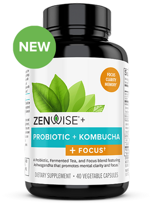 Probiotic + Kombucha + Focus